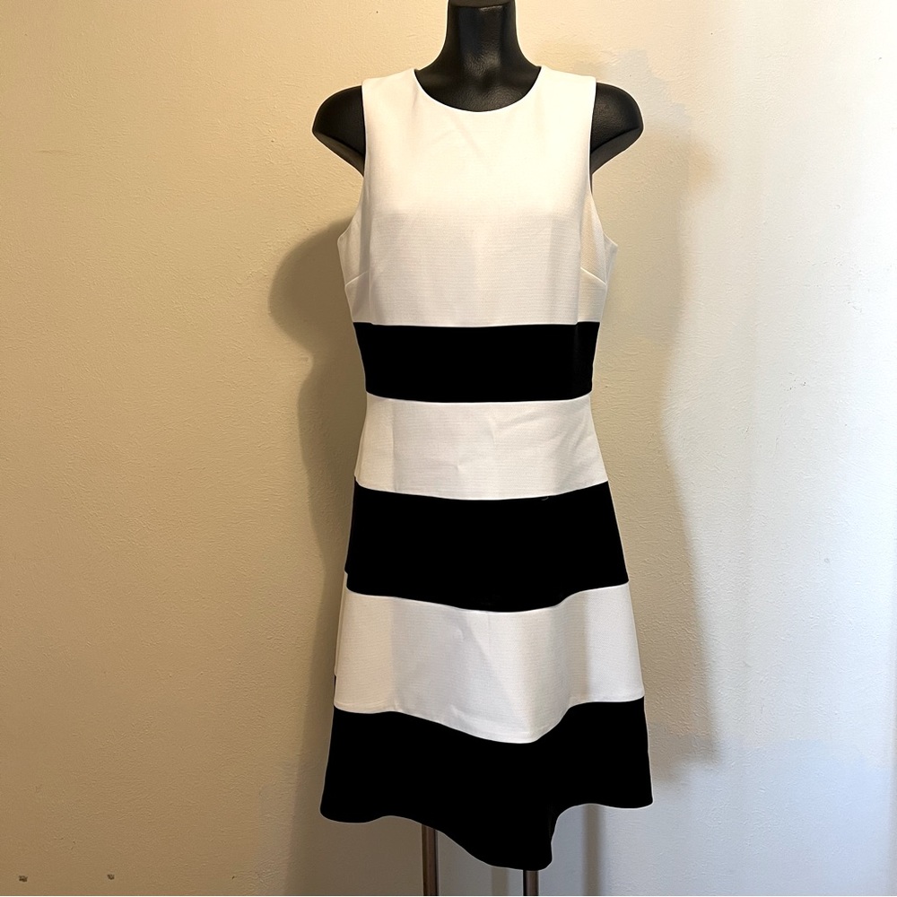 Ann Taylor Dress